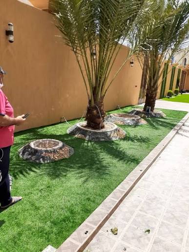 نخيل على مسطح ثيل صناعي مع أحواض حجرية دائرية وإنارة جدارية
